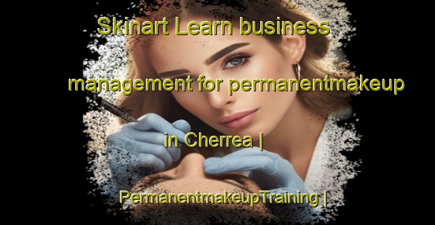 Skinart Learn business management for permanentmakeup in Cherrea | PermanentmakeupTraining | PermanentmakeupClasses | SkinartTraining-Mozambique